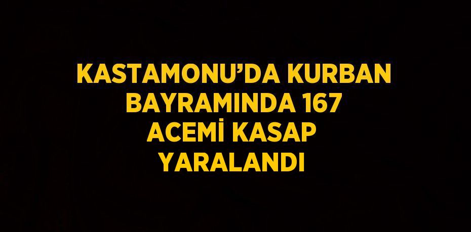 KASTAMONU’DA KURBAN BAYRAMINDA 167 ACEMİ KASAP YARALANDI