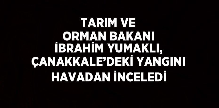 TARIM VE ORMAN BAKANI İBRAHİM YUMAKLI, ÇANAKKALE’DEKİ YANGINI HAVADAN İNCELEDİ