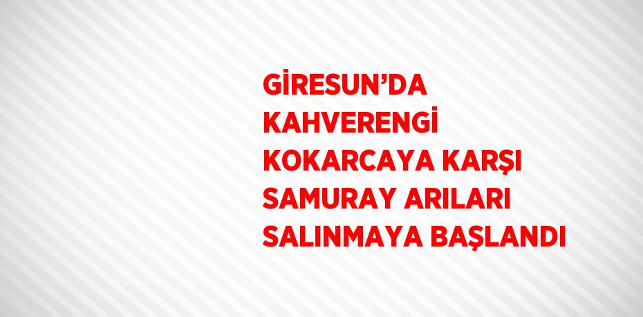 GİRESUN’DA KAHVERENGİ KOKARCAYA KARŞI SAMURAY ARILARI SALINMAYA BAŞLANDI
