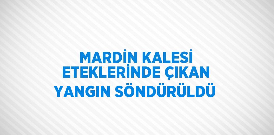 MARDİN KALESİ ETEKLERİNDE ÇIKAN YANGIN SÖNDÜRÜLDÜ