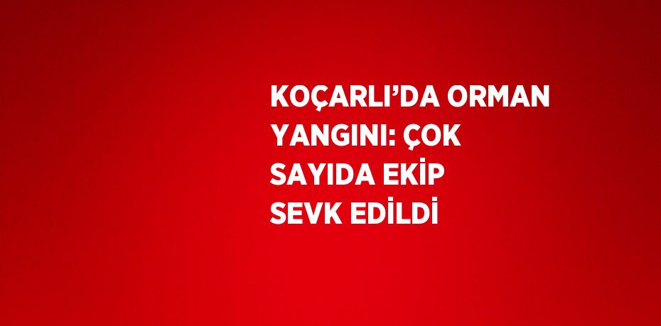 KOÇARLI’DA ORMAN YANGINI: ÇOK SAYIDA EKİP SEVK EDİLDİ