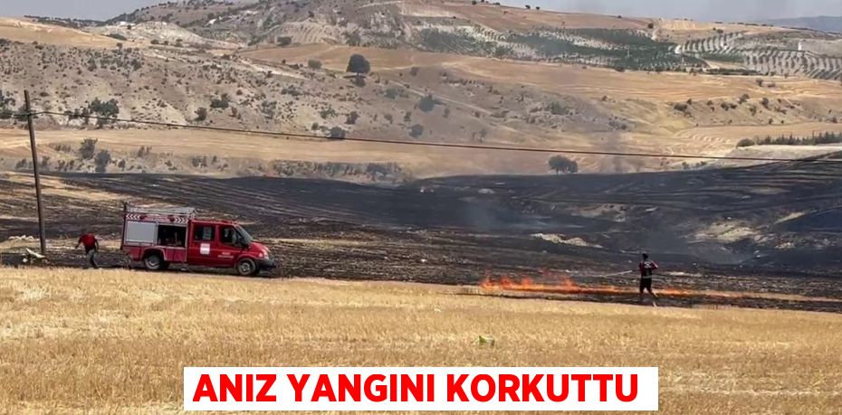 ANIZ YANGINI KORKUTTU