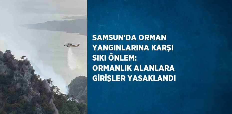 SAMSUN’DA ORMAN YANGINLARINA KARŞI SIKI ÖNLEM: ORMANLIK ALANLARA GİRİŞLER YASAKLANDI