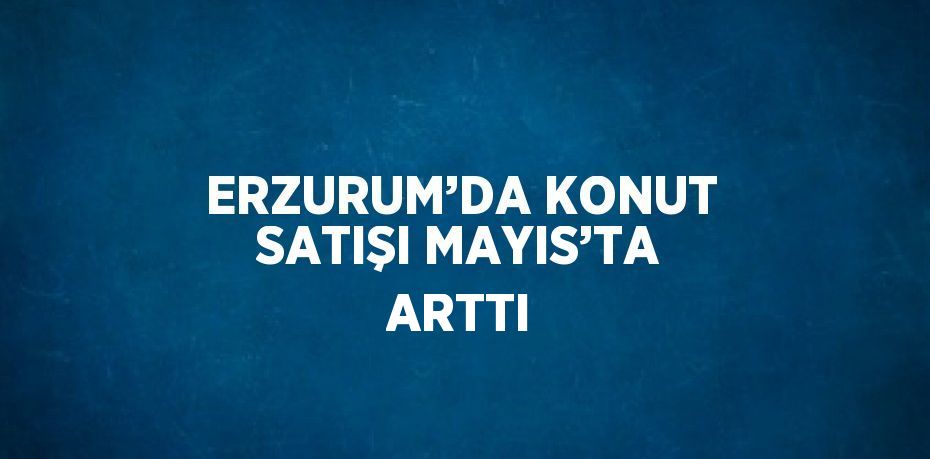 ERZURUM’DA KONUT SATIŞI MAYIS’TA ARTTI