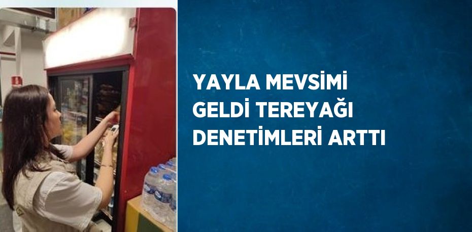YAYLA MEVSİMİ GELDİ TEREYAĞI DENETİMLERİ ARTTI