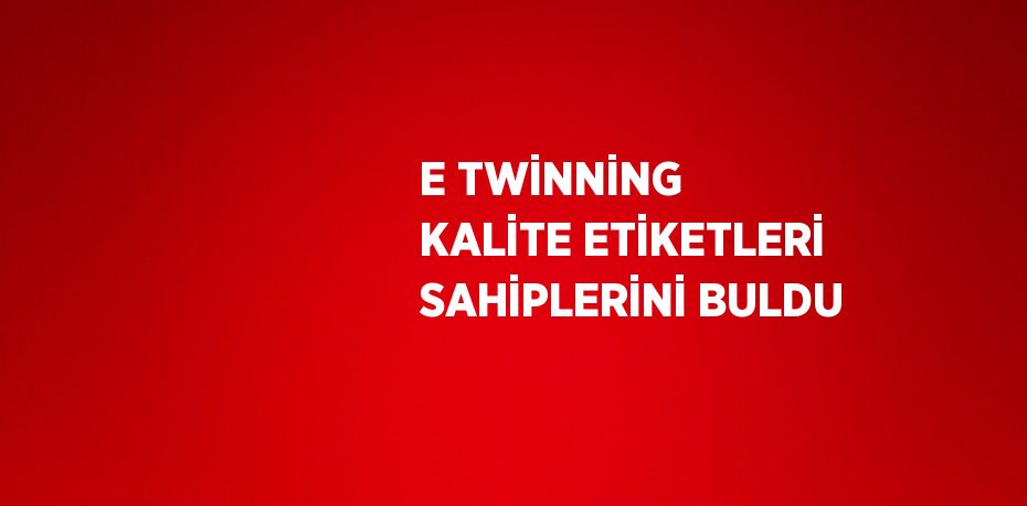 E TWİNNİNG KALİTE ETİKETLERİ SAHİPLERİNİ BULDU