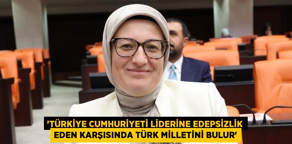 “TÜRKİYE CUMHURİYETİ LİDERİNE EDEPSİZLİK EDEN KARŞISINDA TÜRK MİLLETİNİ BULUR”