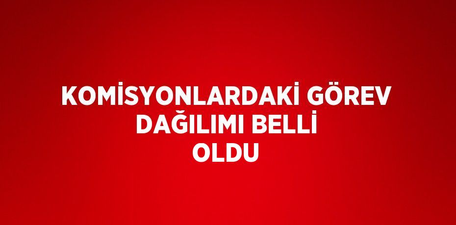KOMİSYONLARDAKİ GÖREV DAĞILIMI BELLİ OLDU