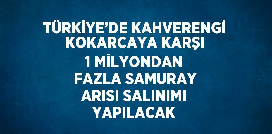 TÜRKİYE’DE KAHVERENGİ KOKARCAYA KARŞI 1 MİLYONDAN FAZLA SAMURAY ARISI SALINIMI YAPILACAK