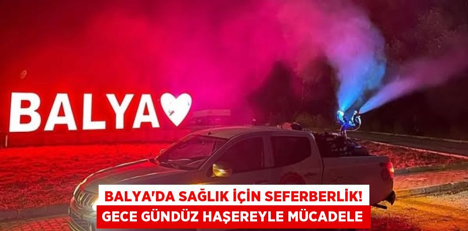 Balya'da Sağlık İçin Seferberlik! Gece Gündüz Haşereyle Mücadele