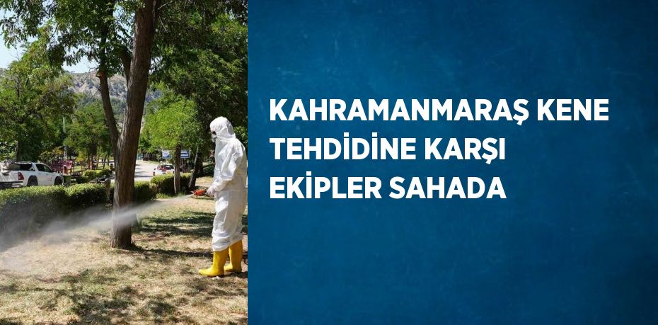KAHRAMANMARAŞ KENE TEHDİDİNE KARŞI EKİPLER SAHADA