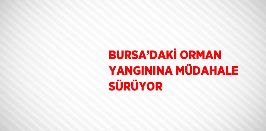 BURSA’DAKİ ORMAN YANGININA MÜDAHALE SÜRÜYOR