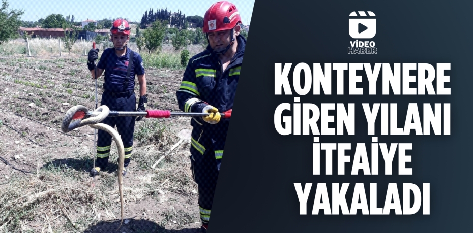 Konteynere giren yılanı itfaiye yakaladı