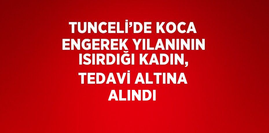 TUNCELİ’DE KOCA ENGEREK YILANININ ISIRDIĞI KADIN, TEDAVİ ALTINA ALINDI