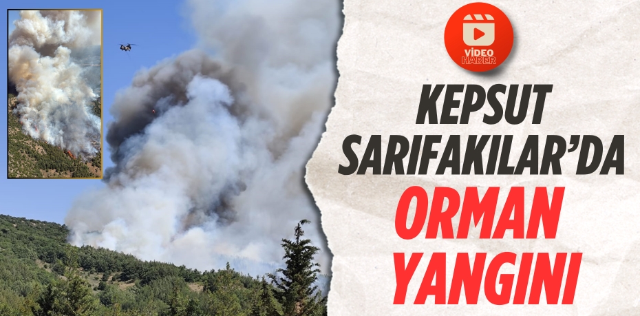 KEPSUT SARIFAKILAR’DA ORMAN YANGINI