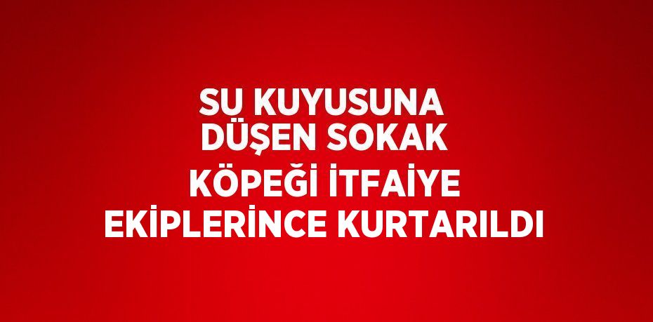 SU KUYUSUNA DÜŞEN SOKAK KÖPEĞİ İTFAİYE EKİPLERİNCE KURTARILDI
