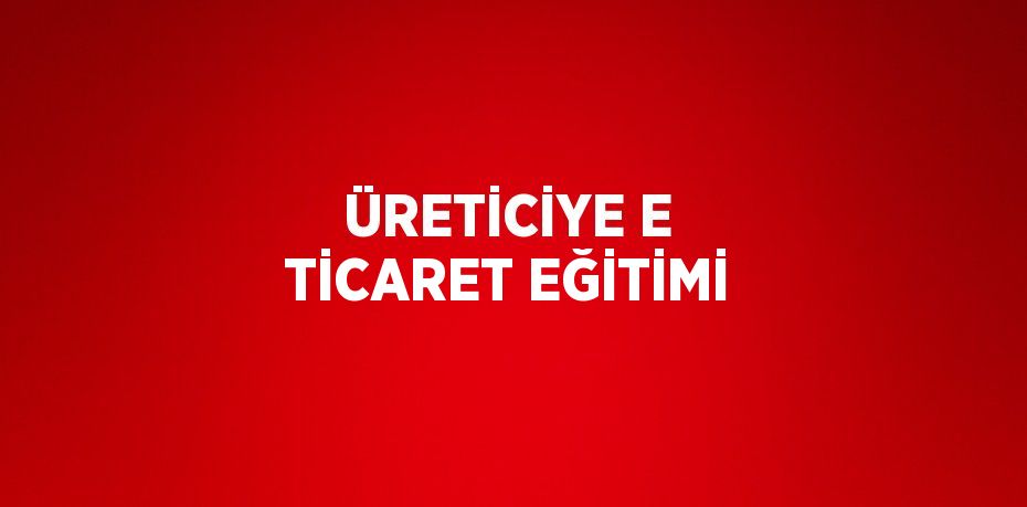 ÜRETİCİYE E TİCARET EĞİTİMİ