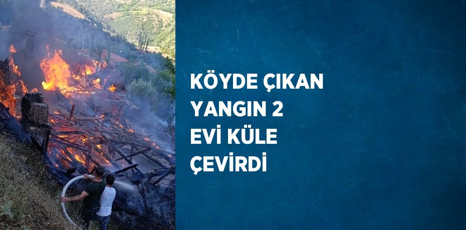 KÖYDE ÇIKAN YANGIN 2 EVİ KÜLE ÇEVİRDİ