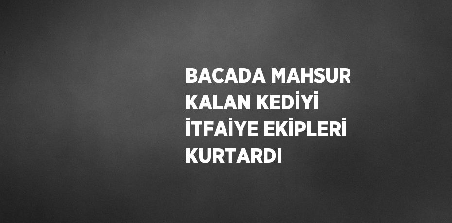 BACADA MAHSUR KALAN KEDİYİ İTFAİYE EKİPLERİ KURTARDI