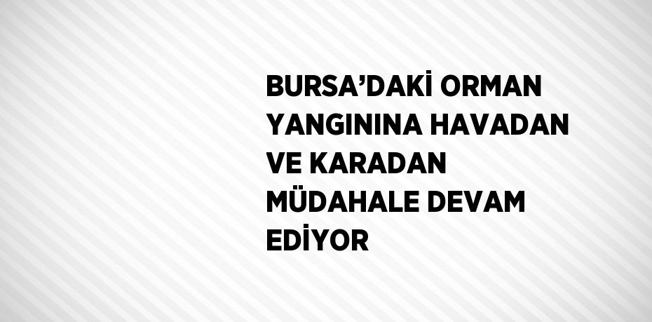 BURSA’DAKİ ORMAN YANGININA HAVADAN VE KARADAN MÜDAHALE DEVAM EDİYOR