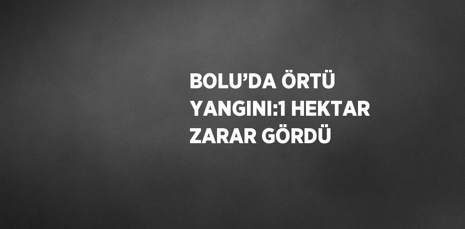 BOLU’DA ÖRTÜ YANGINI:1 HEKTAR ZARAR GÖRDÜ