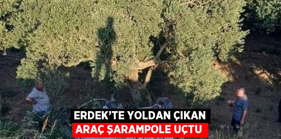 ERDEK’TE YOLDAN ÇIKAN ARAÇ ŞARAMPOLE UÇTU