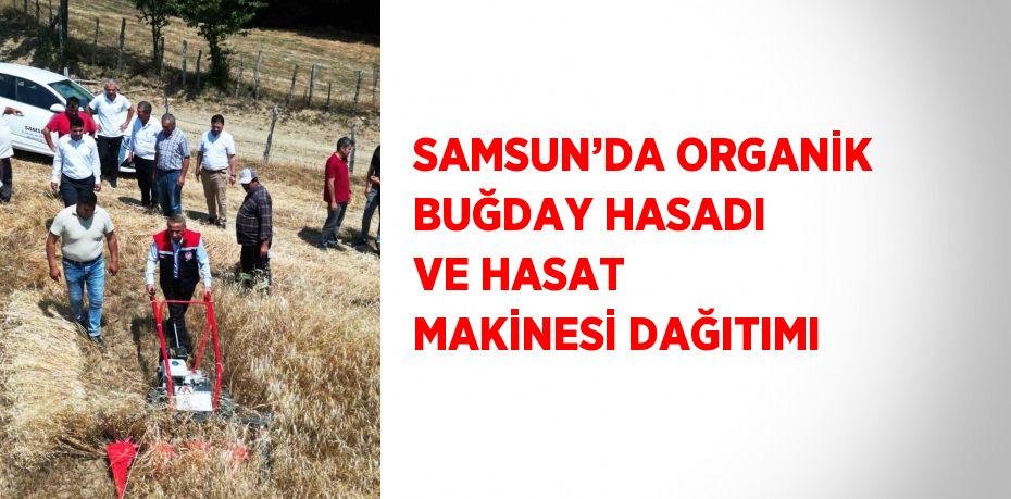 SAMSUN’DA ORGANİK BUĞDAY HASADI VE HASAT MAKİNESİ DAĞITIMI