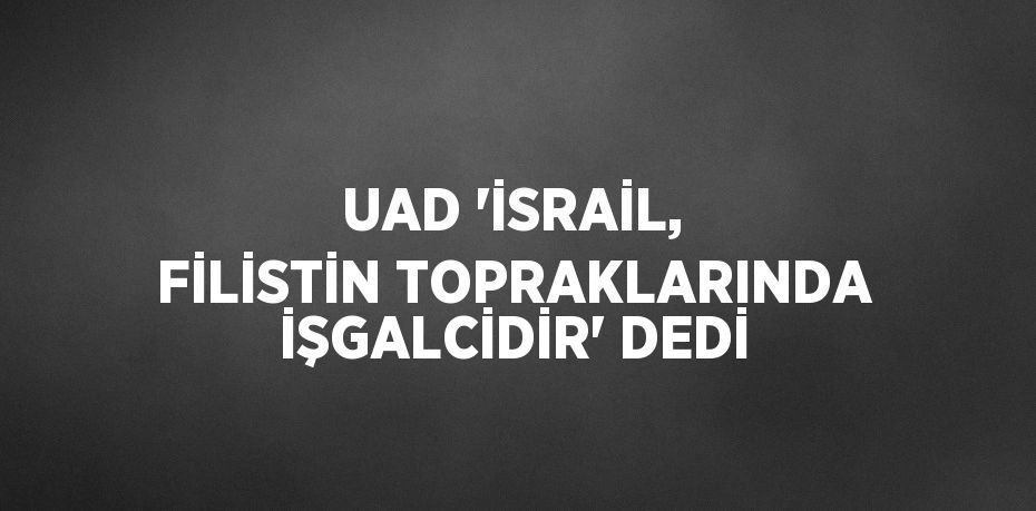 UAD 'İSRAİL, FİLİSTİN TOPRAKLARINDA İŞGALCİDİR' DEDİ