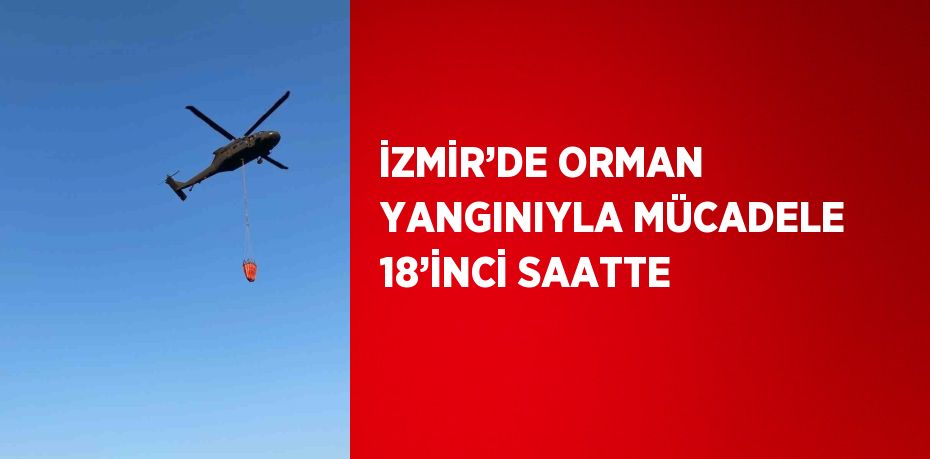 İZMİR’DE ORMAN YANGINIYLA MÜCADELE 18’İNCİ SAATTE