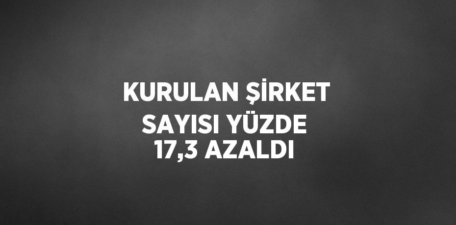 KURULAN ŞİRKET SAYISI YÜZDE 17,3 AZALDI