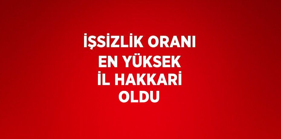 İŞSİZLİK ORANI EN YÜKSEK İL HAKKARİ OLDU