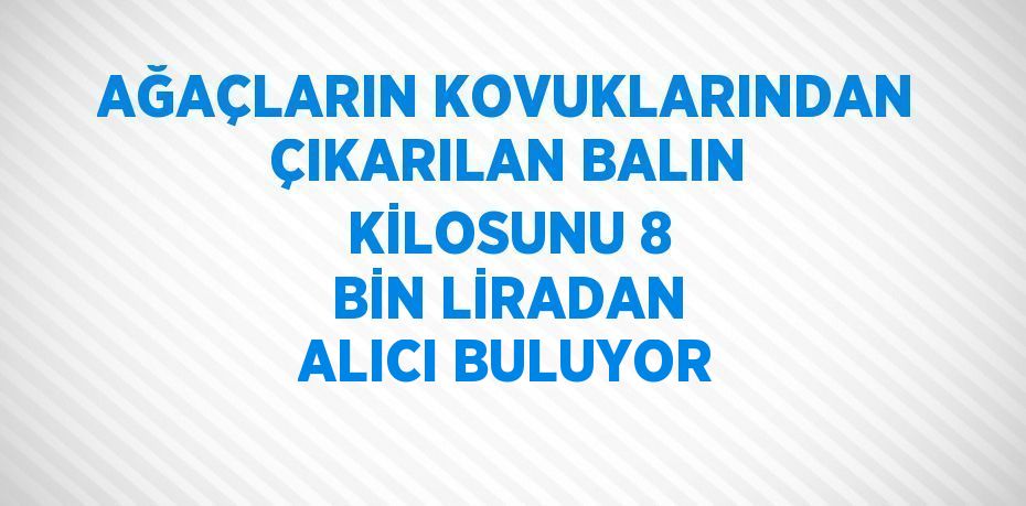 AĞAÇLARIN KOVUKLARINDAN ÇIKARILAN BALIN KİLOSUNU 8 BİN LİRADAN ALICI BULUYOR