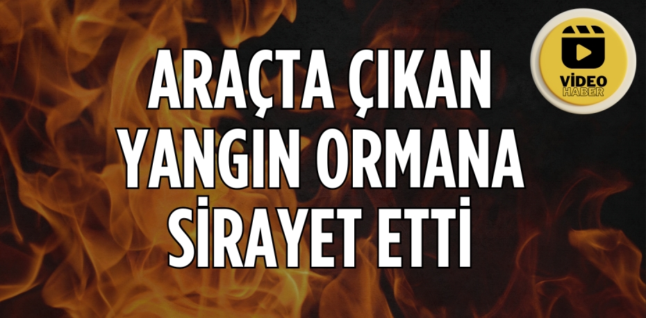 ARAÇTA ÇIKAN YANGIN ORMANA SİRAYET ETTİ