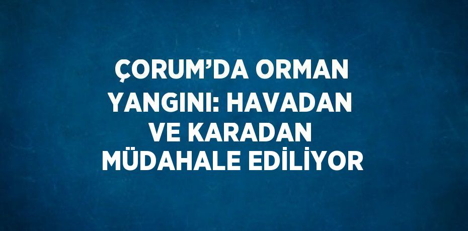 ÇORUM’DA ORMAN YANGINI: HAVADAN VE KARADAN MÜDAHALE EDİLİYOR