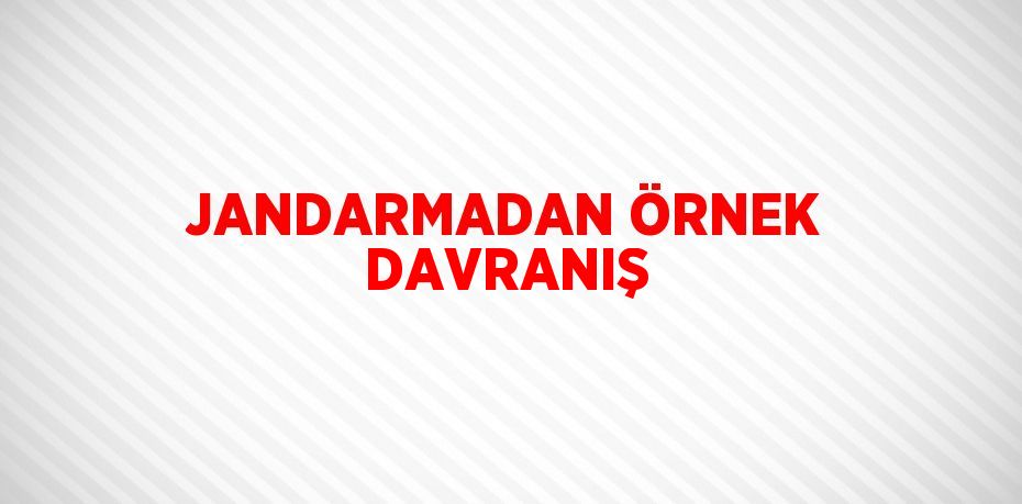 JANDARMADAN ÖRNEK DAVRANIŞ