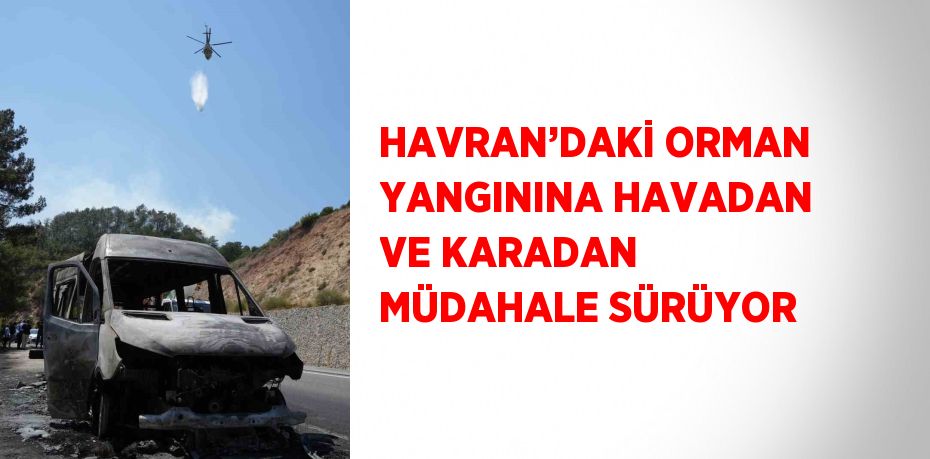 HAVRAN’DAKİ ORMAN YANGININA HAVADAN VE KARADAN MÜDAHALE SÜRÜYOR