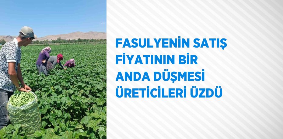 FASULYENİN SATIŞ FİYATININ BİR ANDA DÜŞMESİ ÜRETİCİLERİ ÜZDÜ