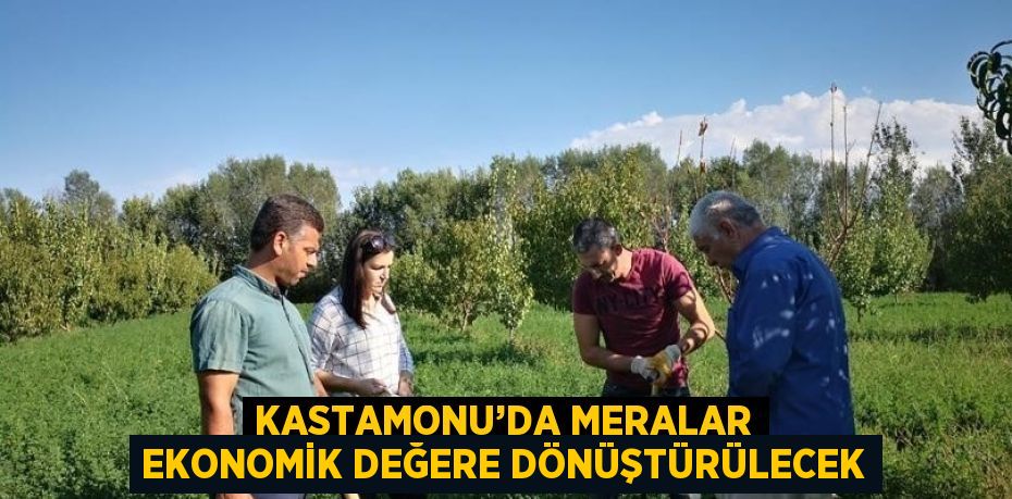 KASTAMONU’DA MERALAR EKONOMİK DEĞERE DÖNÜŞTÜRÜLECEK