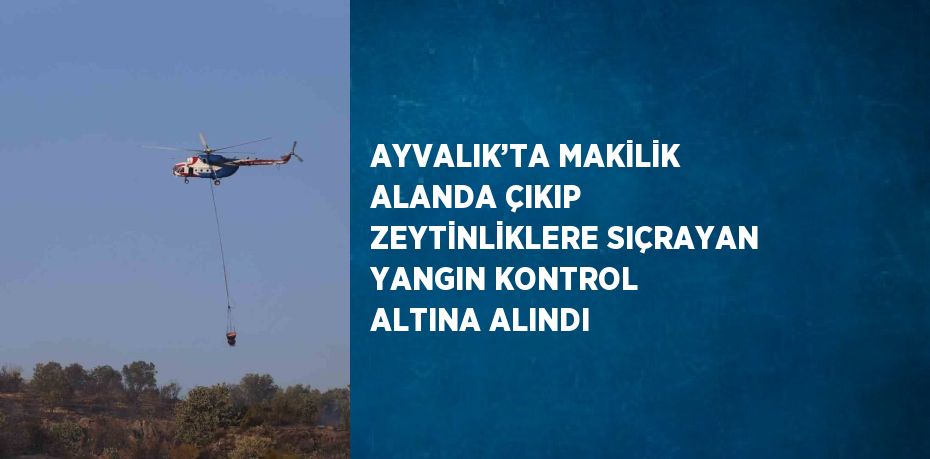 AYVALIK’TA MAKİLİK ALANDA ÇIKIP ZEYTİNLİKLERE SIÇRAYAN YANGIN KONTROL ALTINA ALINDI