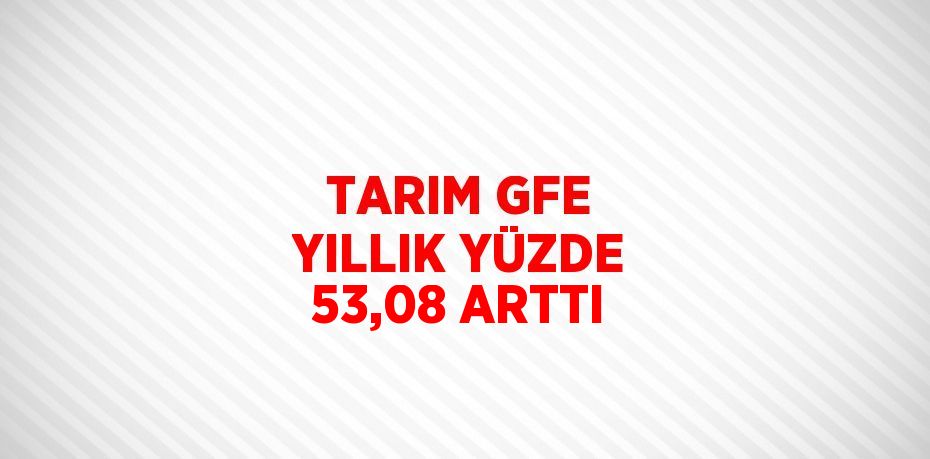 TARIM GFE YILLIK YÜZDE 53,08 ARTTI