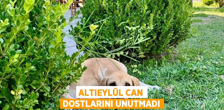 ALTIEYLÜL CAN DOSTLARINI UNUTMADI