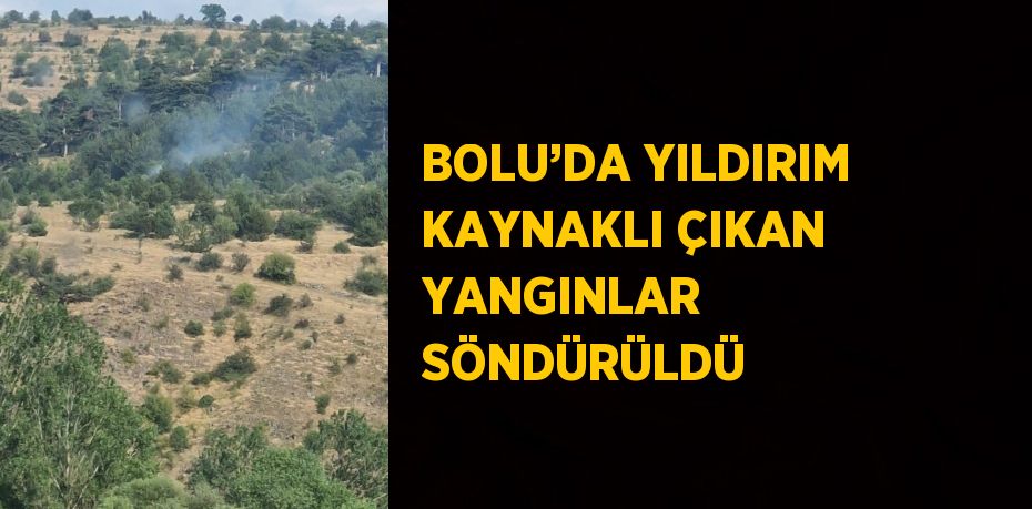 BOLU’DA YILDIRIM KAYNAKLI ÇIKAN YANGINLAR SÖNDÜRÜLDÜ