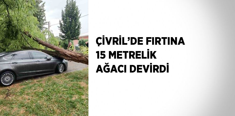 ÇİVRİL’DE FIRTINA 15 METRELİK AĞACI DEVİRDİ