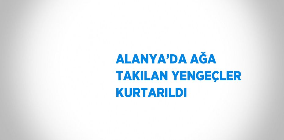 ALANYA’DA AĞA TAKILAN YENGEÇLER KURTARILDI