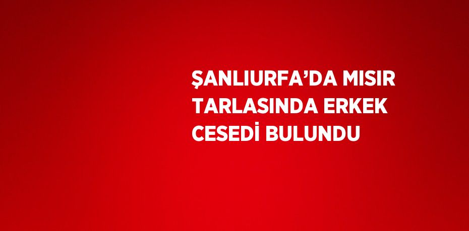 ŞANLIURFA’DA MISIR TARLASINDA ERKEK CESEDİ BULUNDU