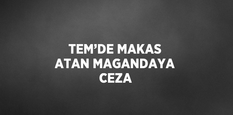 TEM’DE MAKAS ATAN MAGANDAYA CEZA