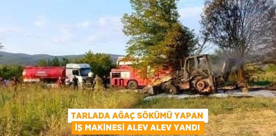 TARLADA AĞAÇ SÖKÜMÜ YAPAN İŞ MAKİNESİ ALEV ALEV YANDI