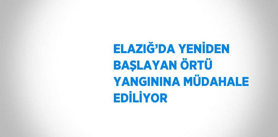 ELAZIĞ’DA YENİDEN BAŞLAYAN ÖRTÜ YANGININA MÜDAHALE EDİLİYOR