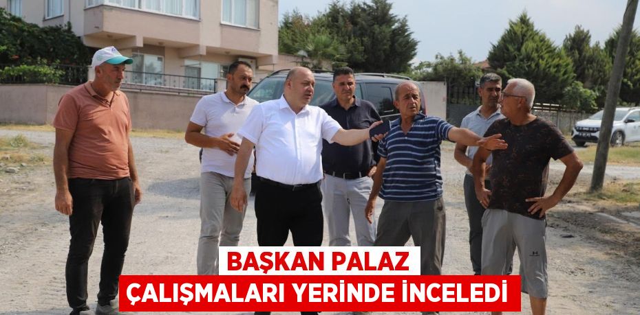 Başkan Palaz çalışmaları yerinde inceledi