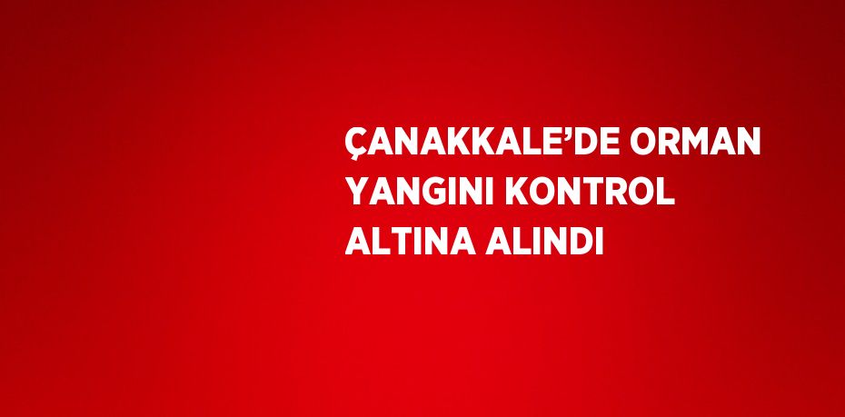 ÇANAKKALE’DE ORMAN YANGINI KONTROL ALTINA ALINDI